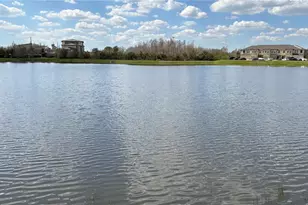 2481 Stapleford Pl, Wesley Chapel, FL 33543 - Photo 35