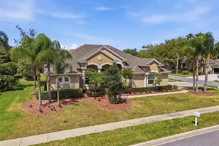 3997 Mimosa Pl, Palm Harbor, FL 34685 - Photo 5