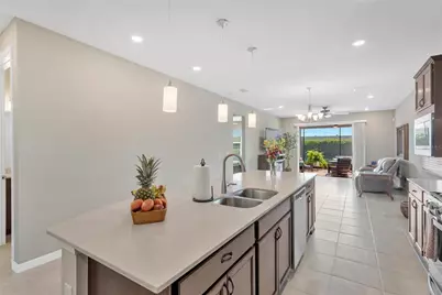 19367 Coastal Shore Terrace, Land O Lakes, FL 34638 - Photo 9
