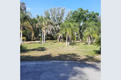 10502 Hinds Place, Odessa, FL 33556 - Photo 3