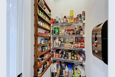 19537 Ship Wheel Way, Land O Lakes, FL 34638 - Photo 9