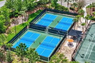 11477 Bitola Dr, Odessa, FL 33556 - Photo 41