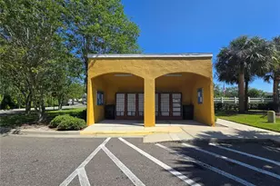 30058 Granda Hills Ct, Wesley Chapel, FL 33543 - Photo 35