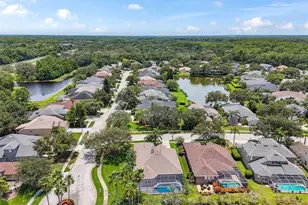 3025 Naughton Way, Tarpon Springs, FL 34688 - Photo 75