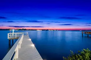 402 Hillsborough St, Palm Harbor, FL 34683 - Photo 75