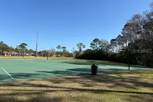 9906 Bennington Dr, Tampa, FL 33626 - Photo 57