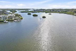 302 Georgia Ave, Crystal Beach, FL 34681 - Photo 61