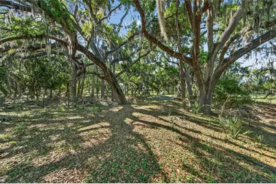 Carlton Road, Plant City, FL 33565 - Photo 29