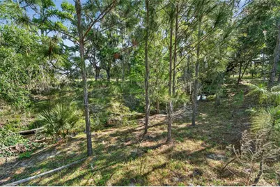 Carlton Road, Plant City, FL 33565 - Photo 39