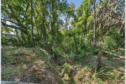 Carlton Road, Plant City, FL 33565 - Photo 51