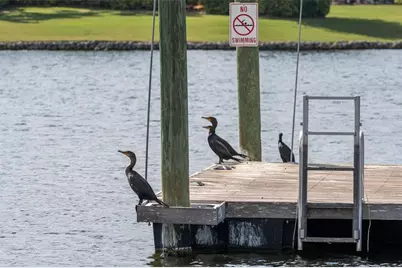 435 Islebay Drive, Apollo Beach, FL 33572 - Photo 85