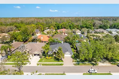2867 Deer Run, Tarpon Springs, FL 34688 - Photo 63