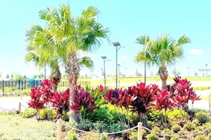 11476 Radiant Shore Loop, San Antonio, FL 33576 - Photo 19