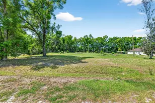 Lot 3 Frazee Ct, Dade City, FL 33523 - Photo 1