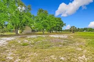 216 Corbett Rd, Lithia, FL 33547 - Photo 91