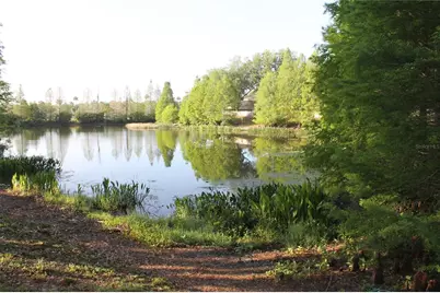 18035 Birdwater Drive, Tampa, FL 33647 - Photo 13