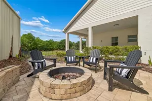 8603 Alafia Hills, Lithia, FL 33547 - Photo 43