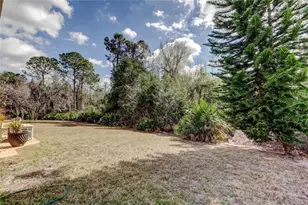 11414 Crisfield Pl, New Port Richey, FL 34654 - Photo 33