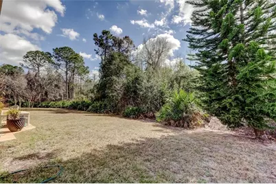 11414 Crisfield Place, New Port Richey, FL 34654 - Photo 31