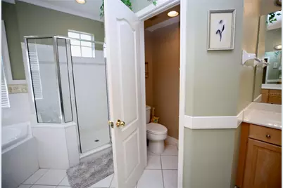 2410 Tea Olive Terrace, Valrico, FL 33594 - Photo 25