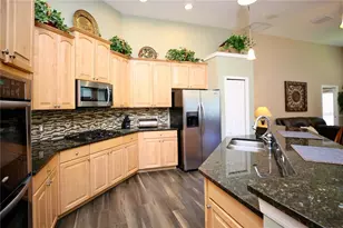 2410 Tea Olive Terrace, Valrico, FL 33594 - Photo 29