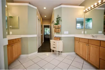 2410 Tea Olive Terrace, Valrico, FL 33594 - Photo 19