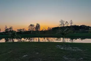 22034 Storybook Cabin Wy, Land O Lakes, FL 34637 - Photo 37