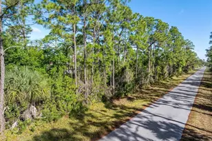 3181 Callisto St, Port Charlotte, FL 33981 - Photo 1