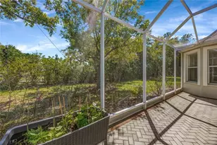 3707 Fawnmist Dr, Wesley Chapel, FL 33544 - Photo 51