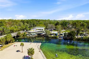 4021 Eagle Nest Dr, Hernando Beach, FL 34607 - Photo 41