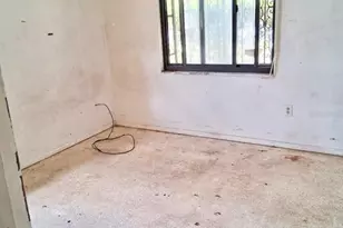 1621 SE 15th Ave, Gainesville, FL 32641 - Photo 5