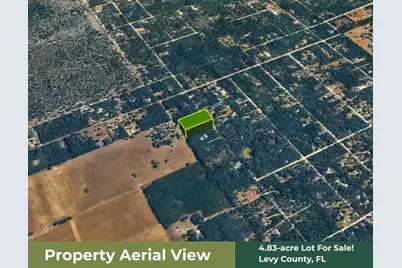 Ne 88th Street, Bronson, FL 32621 - Photo 19