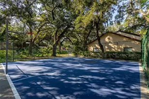 2636 2nd Ct, Palm Harbor, FL 34684 - Photo 39