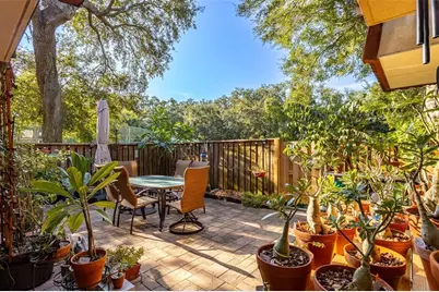 2636 2nd Court, Palm Harbor, FL 34684 - Photo 3