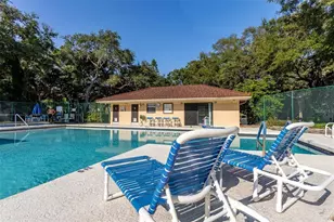 2636 2nd Ct, Palm Harbor, FL 34684 - Photo 43