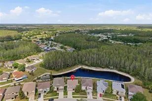 17815 Ayrshire Blvd, Land O Lakes, FL 34638 - Photo 49