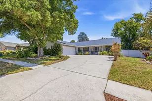 4936 Mineola Pl, Palm Harbor, FL 34684 - Photo 3