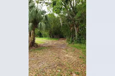 Grosse Avenue, Tarpon Springs, FL 34689 - Photo 5