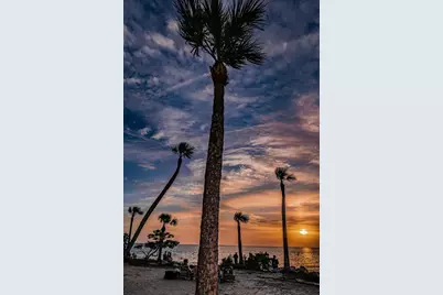 Grosse Avenue, Tarpon Springs, FL 34689 - Photo 57