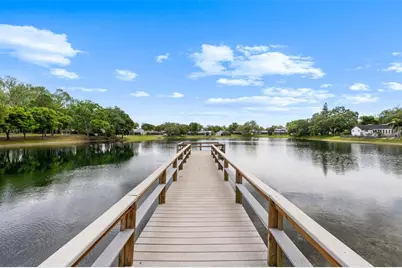 4829 Parson Brown Lane, Palm Harbor, FL 34684 - Photo 51