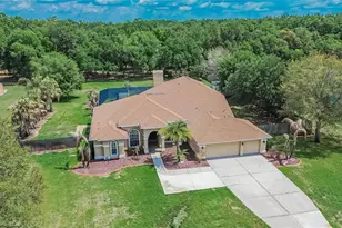 9454 Swift Creek Cir, Dover, FL 33527 - Photo 3