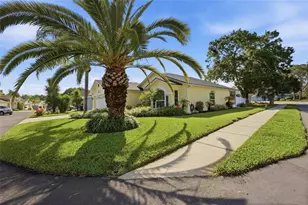 10800 New Brighton Ct, New Port Richey, FL 34654 - Photo 37