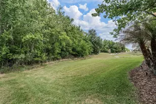 4557 Vermillion Sky Dr, Wesley Chapel, FL 33544 - Photo 45