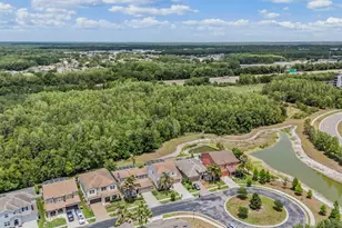 4557 Vermillion Sky Dr, Wesley Chapel, FL 33544 - Photo 51