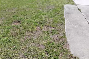 7448 Arbela St, Port Charlotte, FL 33981 - Photo 3