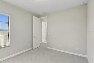 8099 Lago Mist Wy, Wesley Chapel, FL 33545 - Photo 65