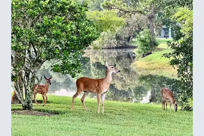 15805 Muirfield Drive, Odessa, FL 33556 - Photo 43