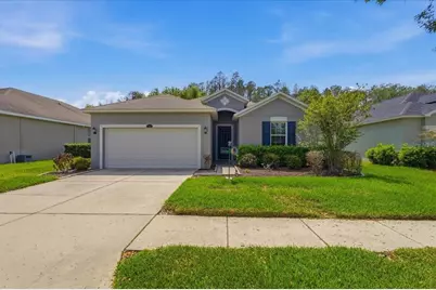 3839 Grecko Drive, Wesley Chapel, FL 33543 - Photo 1