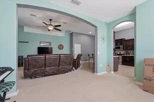 3839 Grecko Dr, Wesley Chapel, FL 33543 - Photo 13