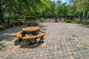 3839 Grecko Dr, Wesley Chapel, FL 33543 - Photo 39